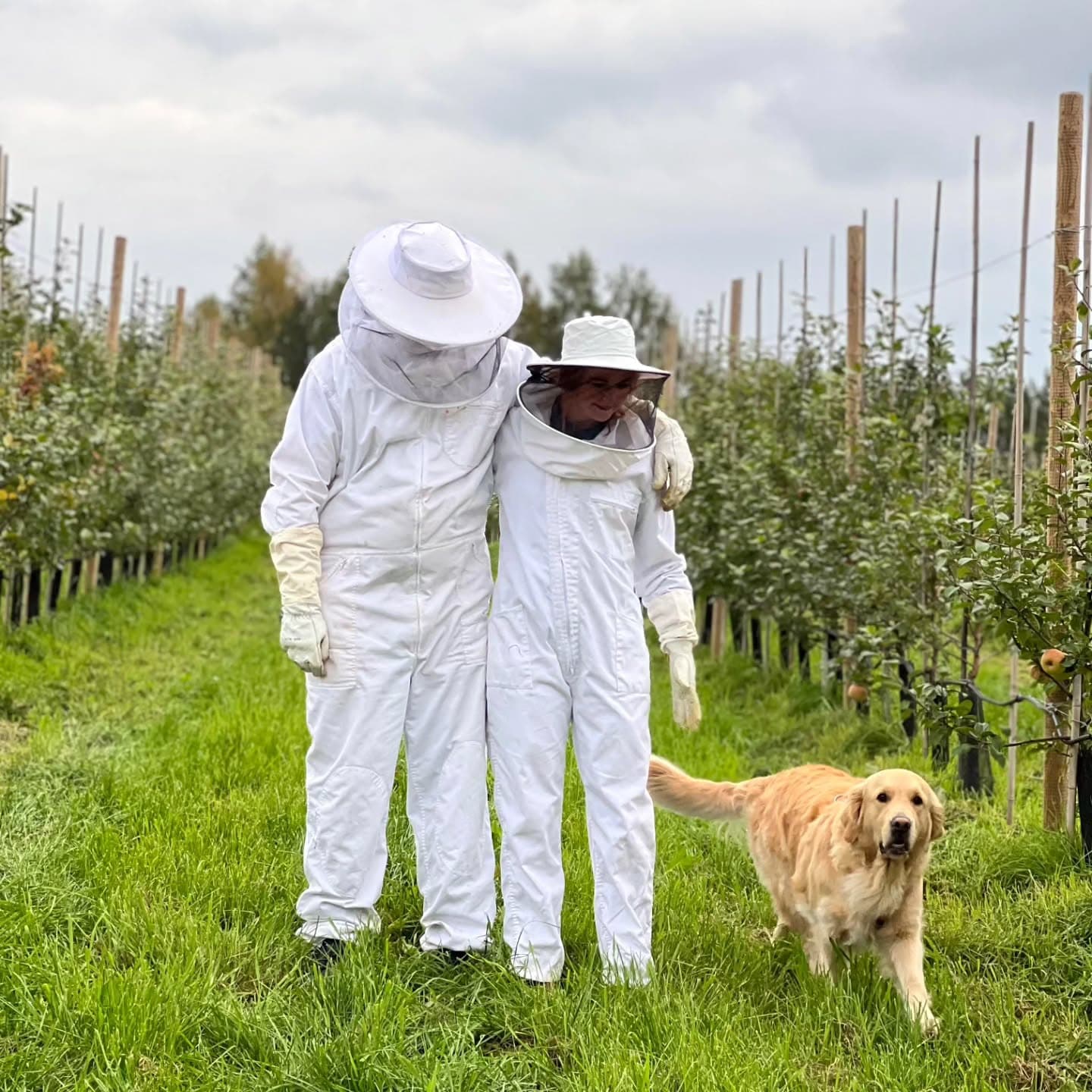 Selvbetjent butikk i låven