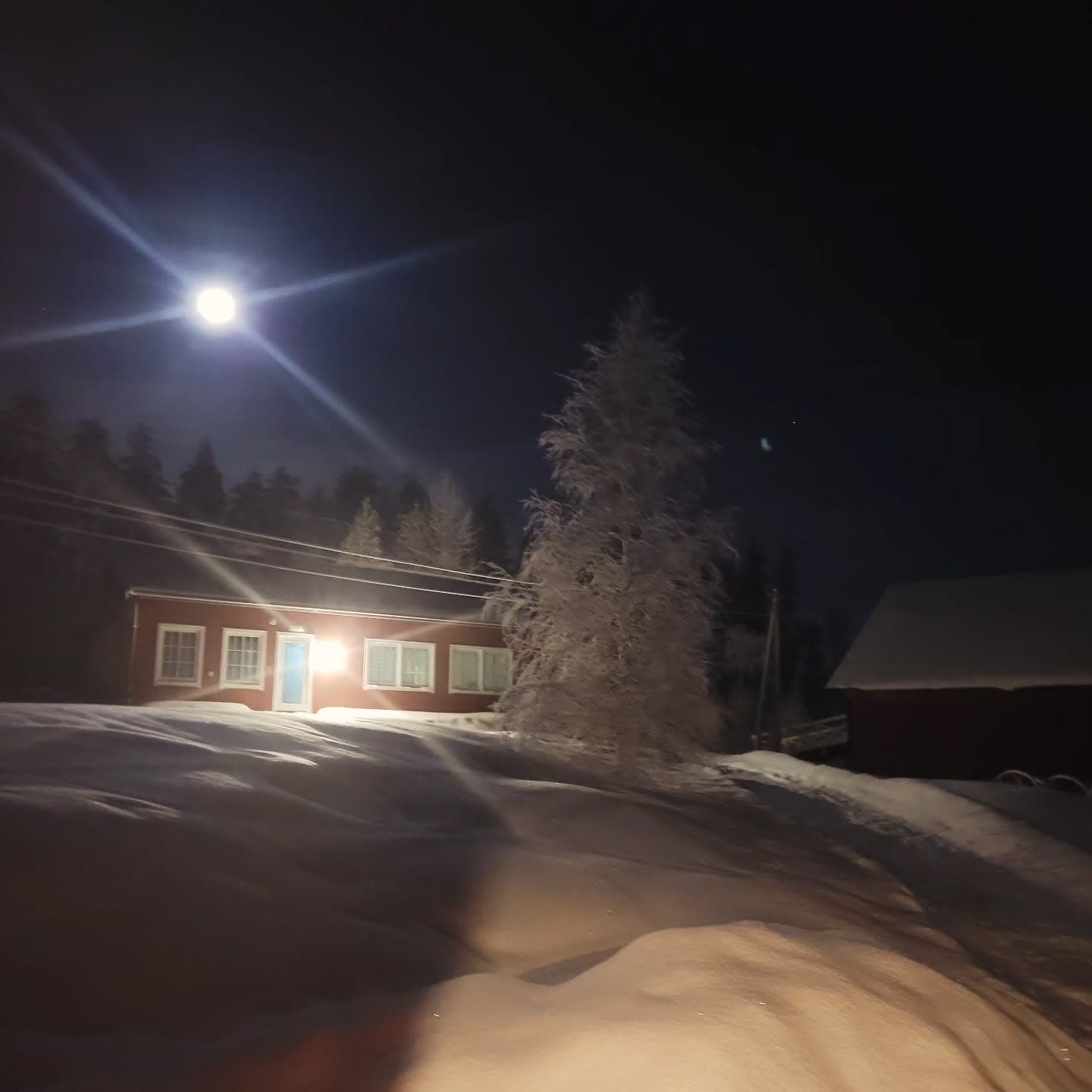 Alkoholholdige drikker